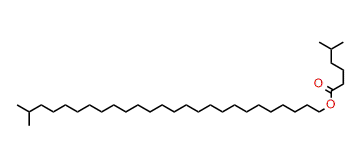 25-Methylhexacosyl 5-methylhexanoate